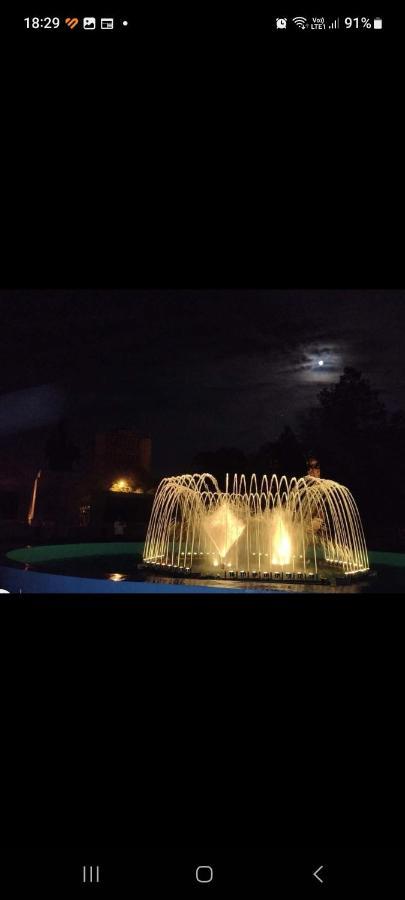 Casa Cojocaru Bed & Breakfast Turnu Măgurele Eksteriør bilde